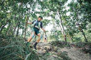 BIB: 
                            <button type="button" onclick="openModal(25980260)" class="btn btn-primary btn-sm float-right btn-popup" data-toggle="modal" data-target=".modal-high-quality">
                        <i class="fas fa-shopping-cart"></i> Add to Cart
                    </button>
                                            <button type="button" onclick="isThisMe(25980260, true)" class="btn btn-success btn-sm float-right btn-popup btn-isme hidden" data-toggle="tooltip" data-placement="bottom" title="นี่คือรูปของคุณใช่ไหม คลิกที่นี่เพื่อเอาเข้าอัลบั้ม">
                        <i class="fas fa-plus"></i> Add to album
                    </button>
                    <button type="button" onclick="isThisMe(25980260, false)" class="btn btn-warning btn-sm float-right btn-popup btn-isnotme hidden">
                        <i class="fas fa-ban"></i> Remove from album
                    </button>